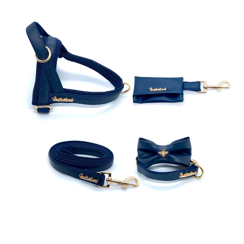 Neptune One-click dog harness