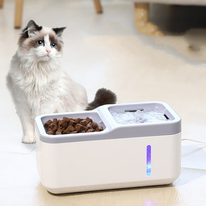 Intelligent Pet Cat Automatic Water Dispenser